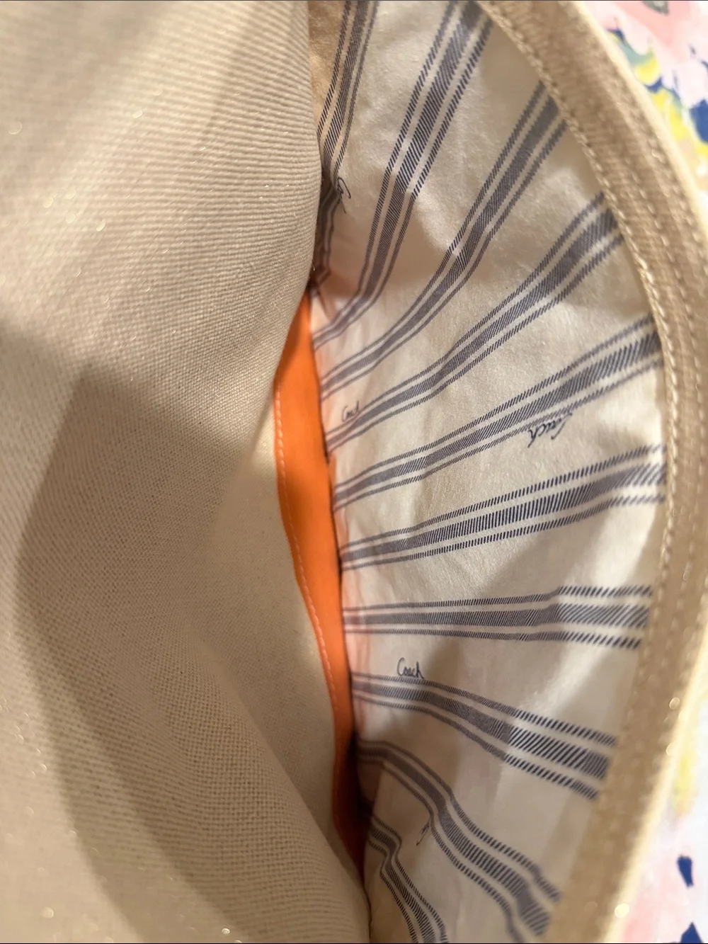 Coach Limited Edition Pierre Le-Tan Beach Canvas Tote